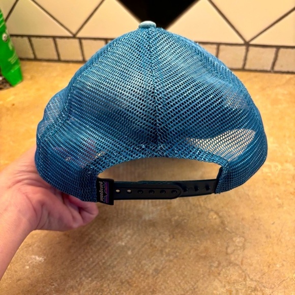 Patagonia fitz roy bison Trucker mesh Hat with Buffalo Embroidery distressed - Picture 4 of 5